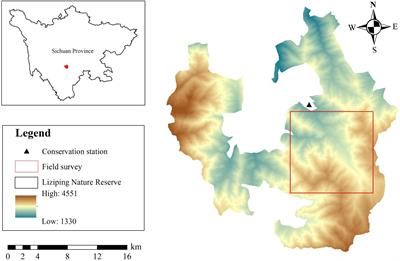 Giant pandas’ staple food bamboo phyllosphere fungal community and its influencing factors